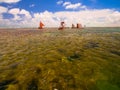 Porto de Galinhas Beach Royalty Free Stock Photo