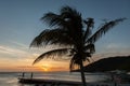 Porto Marie Sunset - palm tree