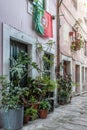 Porto, PORTUGAL - 07/11/2020: narrow street in Porto historical town with houses decorated with plants Royalty Free Stock Photo