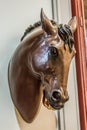 View of horse`s head sculpture exposed on a wall