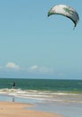 Kitesurf kite in porto seguro