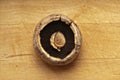 Portobello mushroom on chopping board