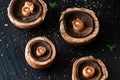 Portobello Mushroom gills Royalty Free Stock Photo