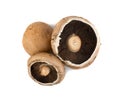 Portobello mushroom, portabella or portobella isolated on white Royalty Free Stock Photo