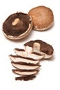 Portobello Mushrooms