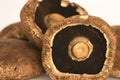 Portobello mushrooms 3
