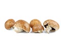 Portobello mushrooms isolated on the white Royalty Free Stock Photo