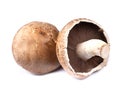 Portobello mushrooms isolated on white background Royalty Free Stock Photo