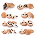 portobello mushrooms isolated on white background Royalty Free Stock Photo