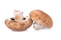 portobello mushrooms on white background Royalty Free Stock Photo