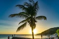 PortoMari palm tree Sunset Beach Curacao views