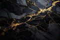 Portoro marble\'s bold black background and striking gold veining, giving a sense of drama and contrast. Generative AI