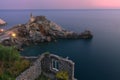 Portovenere and seagull