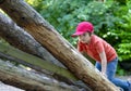 Portrait active kid climbing up into a treehouse in foest park, Child boy having sun playing in the playground on summer. Summer