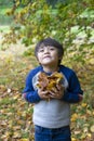 Portrait  Active kid holding autumn leaves ready to throw in the air, Happy child playing under big tree, Cute little boy wearing Royalty Free Stock Photo