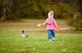 Portrait of adorable baby girl holding yellow leaves and chasing wild duck in autumn park Royalty Free Stock Photo