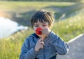 Portrait of adorable boy smelling flower, Candid shot child Smell sensory learning from poppy, Kid explorer and learning about Royalty Free Stock Photo