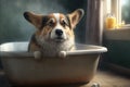 Adorable Corgie dog in a bath, vintage setting