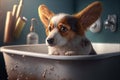 Adorable Corgie dog in a bath, vintage setting Royalty Free Stock Photo