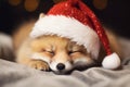 Portrait of an adorable festive Christmas fox wearing a Santa hat in a winter scene