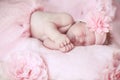 Portrait of adorable sleeping baby girl over pink, infant child. Royalty Free Stock Photo