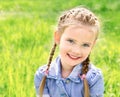 Portrait of adorable smiling little girl on the meadow Royalty Free Stock Photo