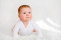 Portrait of adorableness. Little baby girl Royalty Free Stock Photo