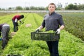 Man carrying box with green mizuna