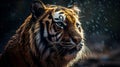 Portrait of an adult Siberian tiger relaxing in rain. Close up - AI generated Royalty Free Stock Photo