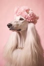 Portrait of an afghanistan hound, with flower wreath on head. Pets, decoration. AI generative, illustration