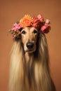 Portrait of an afghanistan hound, with flower wreath on head. Pets, decoration. AI generative, illustration