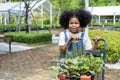 Portrait of African kid is choosing vegetable and herb plant from the local garden center nursery with shopping cart full of Royalty Free Stock Photo