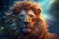 Portrait of an African lion animal. Royalty Free Stock Photo