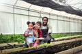 Portrait of African man and wife teaching the children to plant seedlings in greenhouse Royalty Free Stock Photo