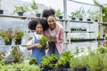 Portrait of African mother and daughter is choosing parsley from vegetable and herb plant section in the local garden center Royalty Free Stock Photo