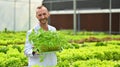 Portrait of Agricultural scientists holding crate of seedlings standing in industrial greenhouse