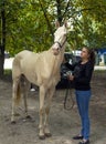 Portrait of a akhal-teke horse ahd trainer