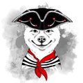 Portrait of the akita inu dog in a pirate hat. Vector illustration. Royalty Free Stock Photo