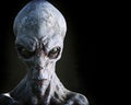 Portrait of an alien male extraterrestrial on a dark background with room for text or copy space. Royalty Free Stock Photo