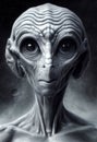 Portrait of an alien, science fiction of extraterrestrial invasion, visit of the greys, conspiracy of paranormal civilization
