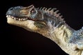 Portrait of an allosaur on black background Royalty Free Stock Photo