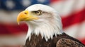 Portrait of an American bald eagle in front of an American Flag, 4th of July, Veterans Day. Generative AI Royalty Free Stock Photo