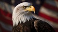 Portrait of an American bald eagle in front of an American Flag, 4th of July, Veterans Day, Generative AI Royalty Free Stock Photo