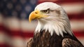 Portrait of an American bald eagle in front of an American Flag, 4th of July, Veterans Day, Generative AI Royalty Free Stock Photo