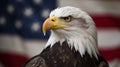 Portrait of an American bald eagle in front of an American Flag, 4th of July, Veterans Day, Generative AI Royalty Free Stock Photo