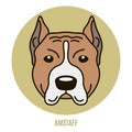 Portrait of Amstaff. Vector illustration