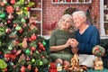 Portrait of amusing couple near christmas tree