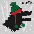 A portrait of an angry wolf, he wears a winter hat. Design, greeting card of the beginning of winter Royalty Free Stock Photo