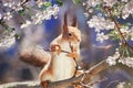 Portrait animal funny cute redhead squirrel stands on tree blooming white cherry buds in may Sunny garden Royalty Free Stock Photo