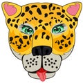 Portrait animal leopard on white background is insulated